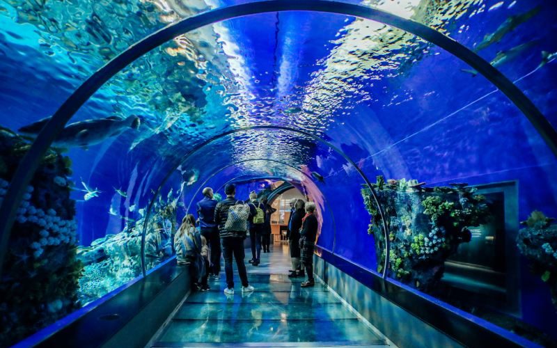 aquarium-du-bugue